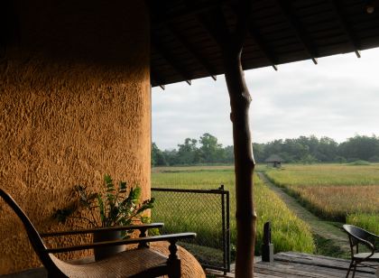Kirindi Paddy Isle