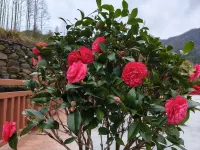 Shanshui Yunju Homestay (Guniujiang Scenic Area)