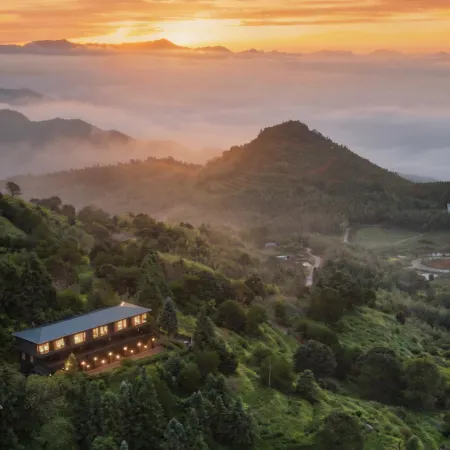 Yue Shan Tea Estate
