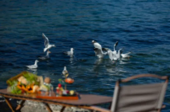 อินน์จินซ่างจวี่