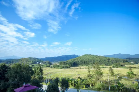 Nanxiong Hat Peak Yuxing Xiaoyuan