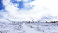 翠雲山星辰谷公寓 祟禮四季小鎮度假區附近的飯店