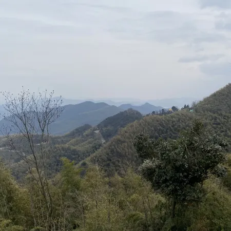 Moganshan Mountain Villa