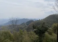 Moganshan Mountain Villa - Mountain view