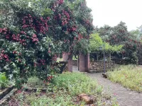 Luofu Lychee Forest Countryard 나리 플라워 테마 공원 주변 호텔
