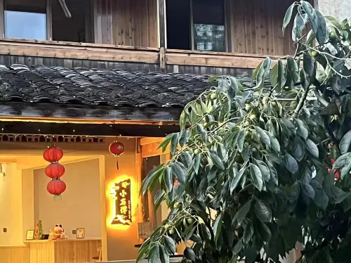 Small stone Pool B&B Hotels in Pingnan