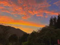 shengnongguyichuyoujing