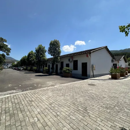 Golden Wing House