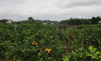 Dapo Ecological Park
