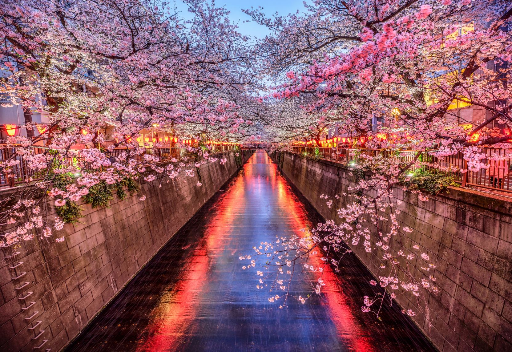 The Westin Tokyo