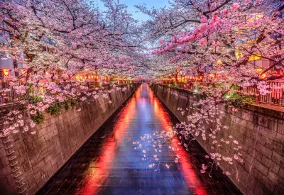 The Westin Tokyo Hotel in zona Daienji Temple