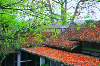 JOYARD Hotels in Guangzhou
