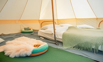 Desert Starway Campground