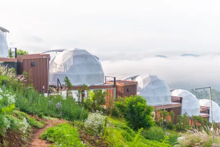 The View Homestay Monjam Отели рядом с достопримечательностью «Bai Orchid and Butterfly Farm»