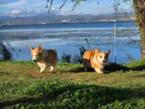 Yunshang Boutique Seaview Inn