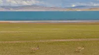 Xiyunzong Hotel (Nagqu Baingoin) - Mountain view