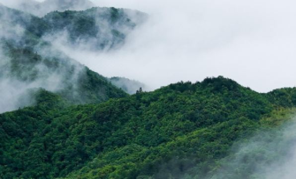 Ji 'an Azalea Wisdom Hotel