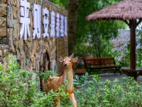 Luhe Liangshan Forest Wellness Homestay (Wandong) Hotels in Luhe