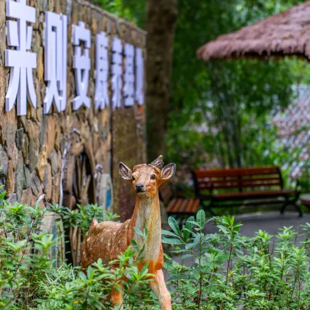 Luhe Liangshan Forest Wellness Homestay (Wandong)