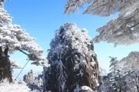 Holiday Inn Express Huangshan Mountain South Gate by IHG - Mountain view