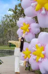 JIAXING SENBO NATURE PARK & RESORT - Mountain view