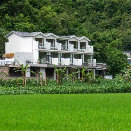 Wanfenglin White Bird Homestay