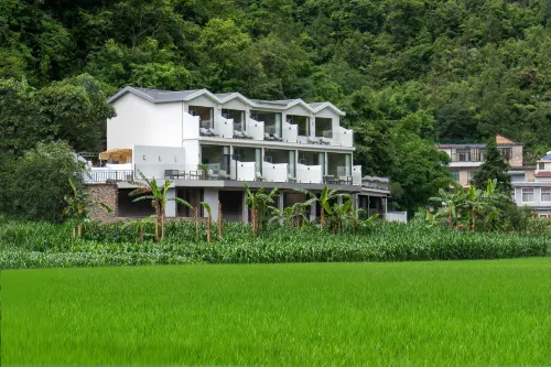Wanfenglin White Bird Homestay