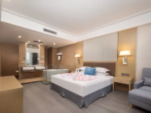 咸寧温泉谷大酒店（潛山國家森林公園店） 咸寧酒店