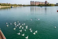 Mingmen Grand Rezen Hotel (Kunlun Lake Hotan New Night Market) - Romantic
