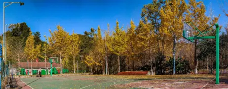 No.52 B&B, Three Gorges Water Town Scenic Area Отели в г. Юаньань