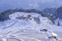 Yunyi's Courtyard Villa (Yunhe Terraced Field Scenic Area Store) - Mountain view