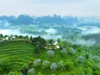 T Manor Tent camp Hotel in zona Yingxi Fenglin Corridor