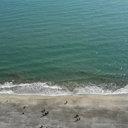 Poly Jinluwan Natural Seaview Apartment