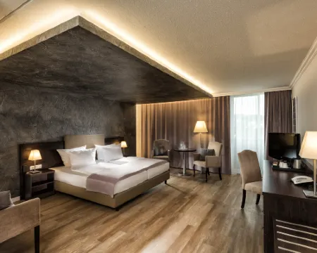 ウィンダム ガーデン カッセル カッセルのホテル