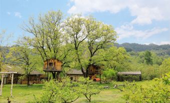 Nut Tree Country House