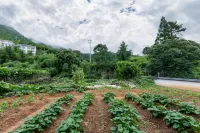 Anji Yunshang Mountain Stream View Holiday Home (Yunshang Grassland Resort) โรงแรมใกล้เมฆบนทุ่งหญ้า