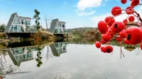 Dayin Songshan Yunzhang Homestay