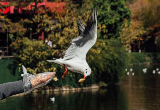 그랜드 파크 쿤밍