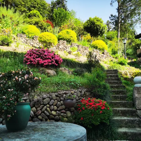 Jinyun: Water Flows and Clouds Linger · Mist-Shrouded Mountain Retreat | Time Flow · Travel Inn