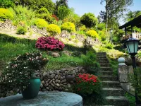 Jinyun: Water Flows and Clouds Linger · Mist-Shrouded Mountain Retreat | Time Flow · Travel Inn - Inns