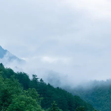 Daqin Shancang · Simu Mountain Residence · Private Hot Spring · Boutique Stay