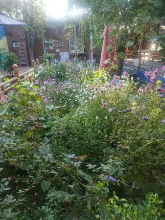 Huocheng Laipeng Homestay