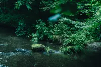 SANU 2nd Home Karuizawa1st