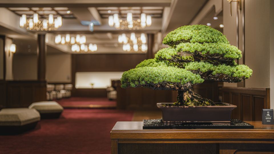Shinzan Kinosaki
