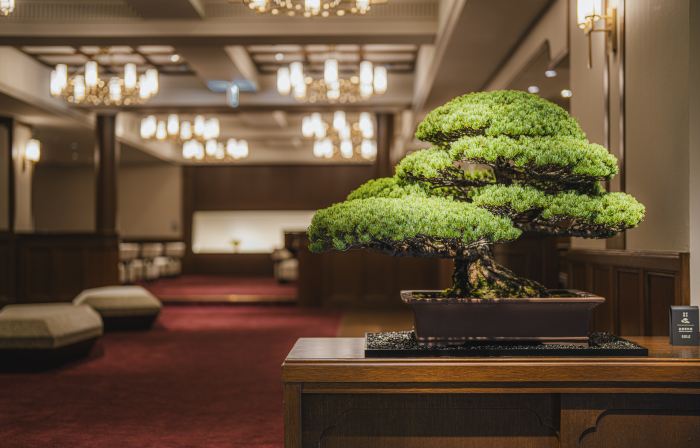 Shinzan Kinosaki