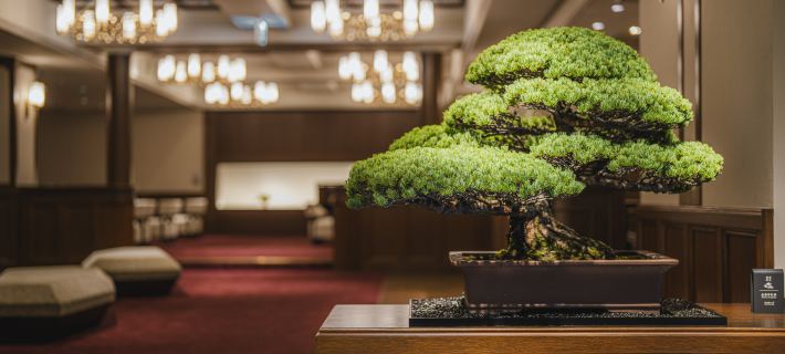 Shinzan Kinosaki Hotels in Toyooka