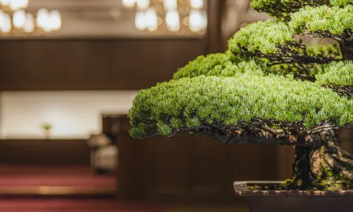 城崎温泉 深山 -Shinzan-