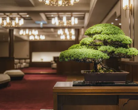 Shinzan Kinosaki Hotels in Toyooka