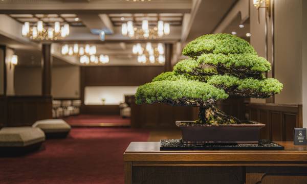 Shinzan Kinosaki