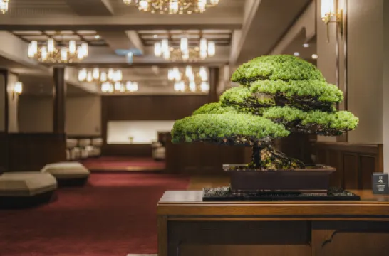 Shinzan Kinosaki Hotels in 